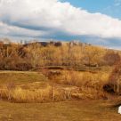 Spring Landscape