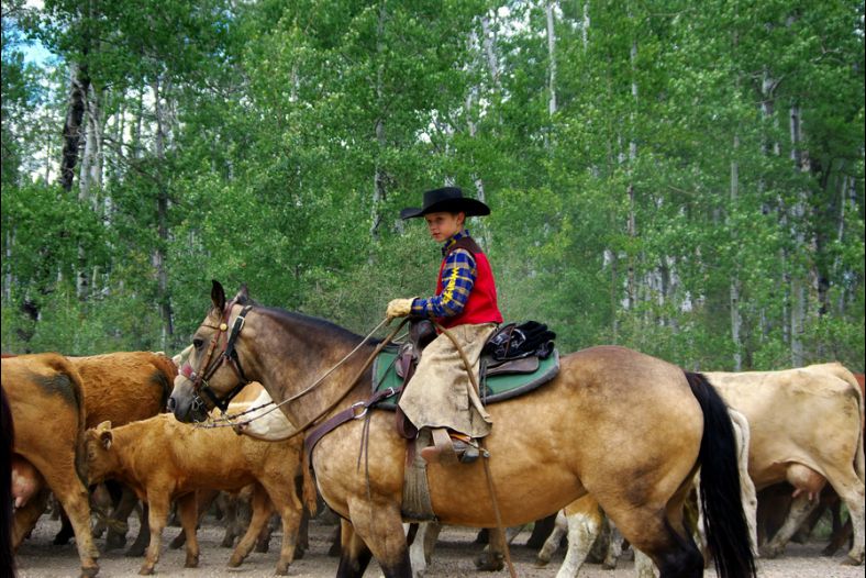 Cowboy's Come Pint-Size