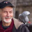 Parrot Man