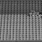 lonesome