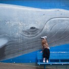 Whale meeting