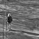 Shadows