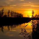 Golden Sunset