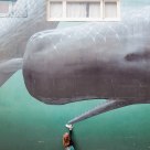 A whale match!