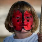 Ladybug