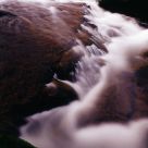 White waterfall