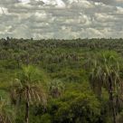 Parque Nacional el Palmar