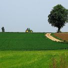 Limburg scenery in Holland