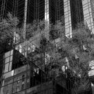 Trump Tower