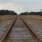 Railzzzz