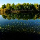 Lakeside in thre morning