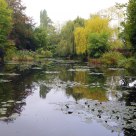 Monet II