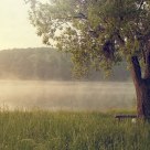 Nature awakens