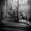 Bright Lights, Dark Shadows