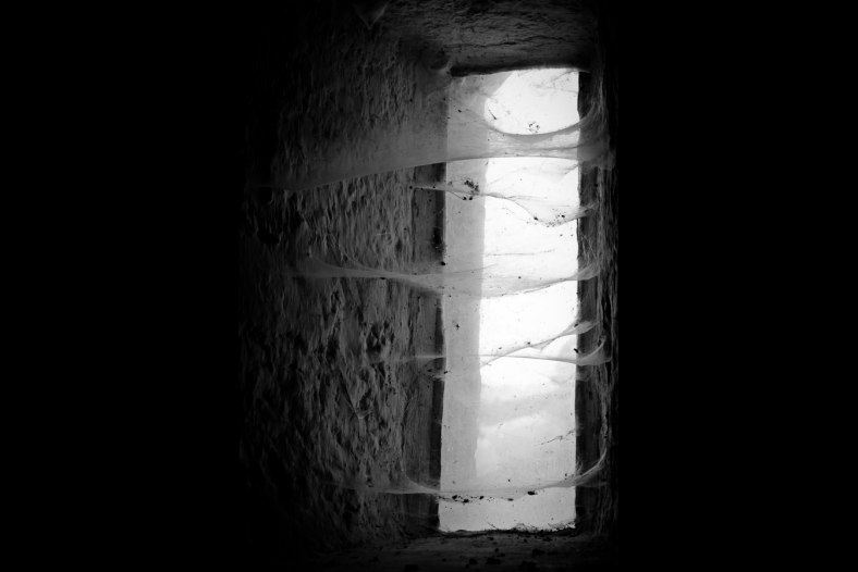 Cobwebs