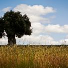 Alentejo