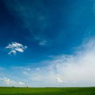 Green, blue and white