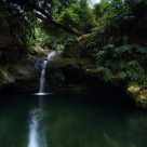 Nature corners