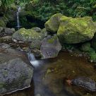 Nature flow