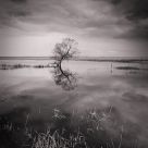 Stand Alone