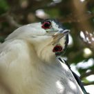 Are you lookin' at me?