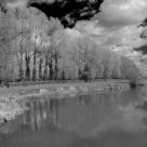 The river