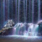 Waterfall