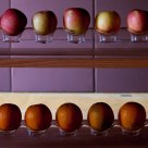 Apples and Oranges