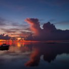 Dawn Thunder