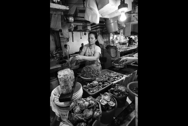 Mussels and Shellfish