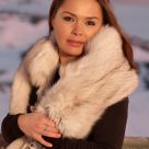 Arctic Beauty