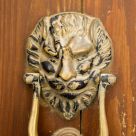 Knock on the Lion