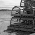 Empty Traps