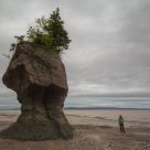 Hopewell Rocks