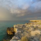Sea landscape