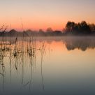 Peace and quiet