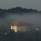 Early morning
