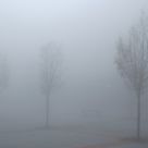 three tree