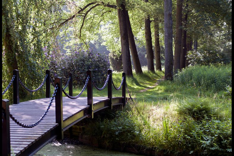 forest trail