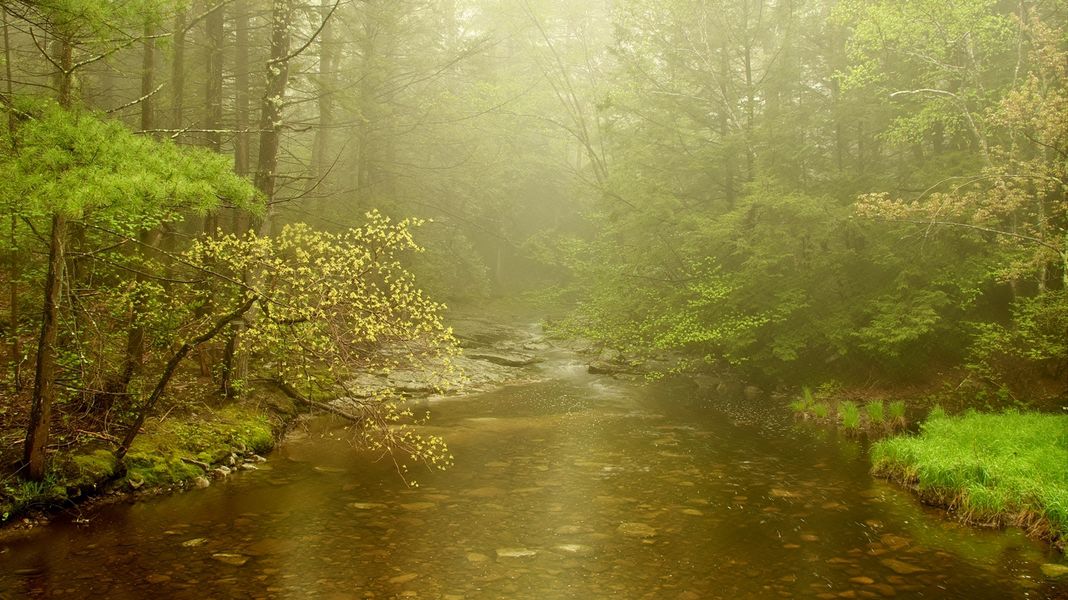 Wilderness