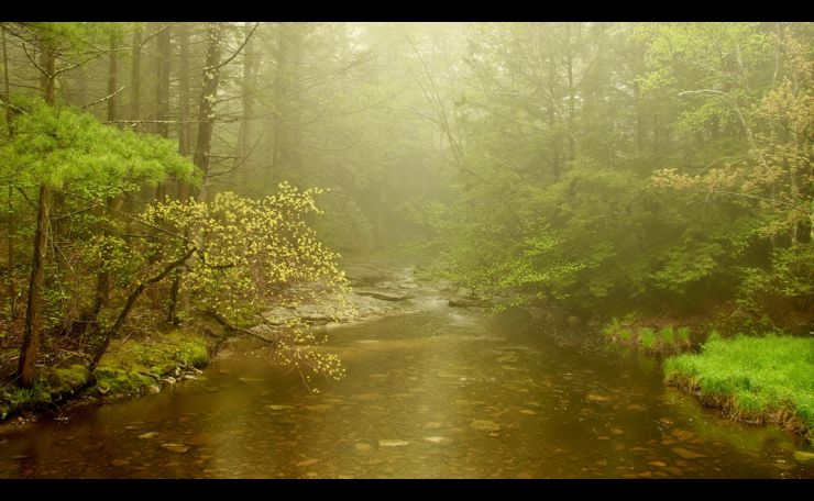 Wilderness
