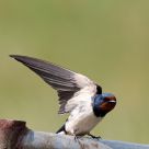 ready for taking off