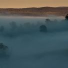 Morning Mist