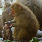 Mother and son