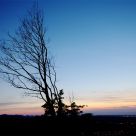 Tramonto