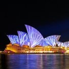 Vivid Lights