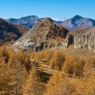 Autumn forever
