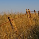 Fenceline