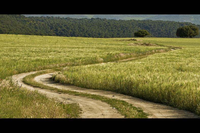 Winding road