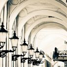 Lights and Bows